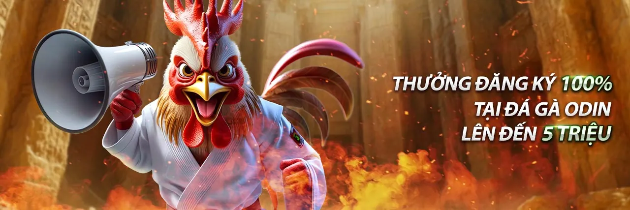 Đá gà trực tuyến tại FABET